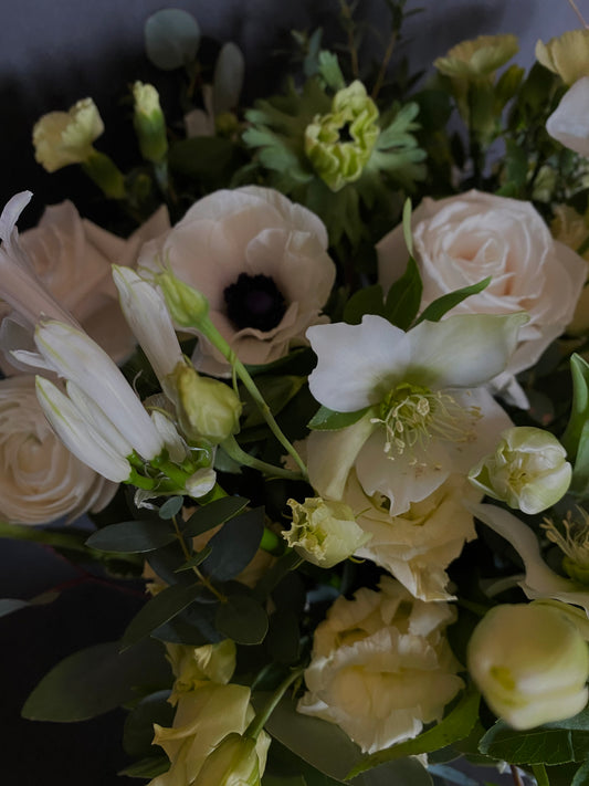 White + Green Sympathy