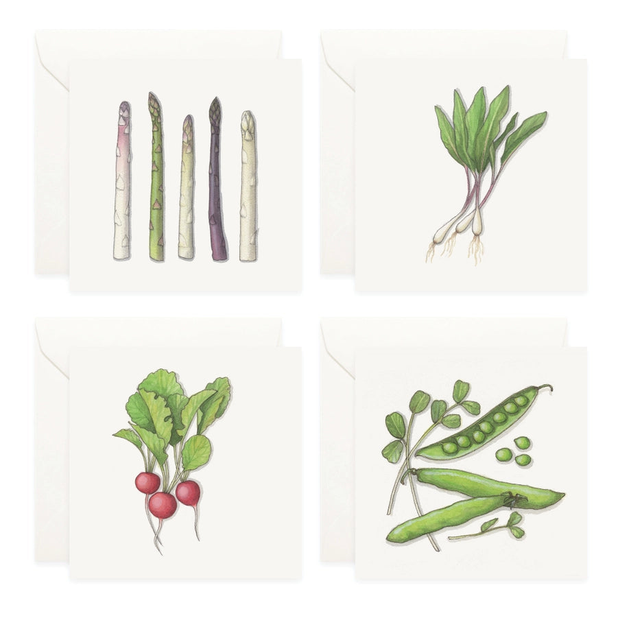 Mini Card Set Vegetables