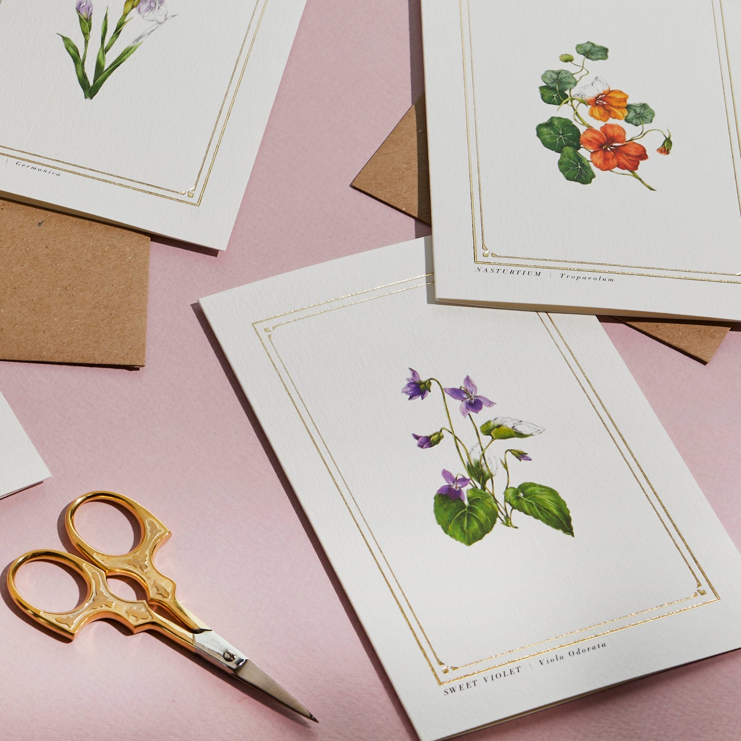 Sweet Violet - 'Botanist Archive : Everyday Edition' - Card