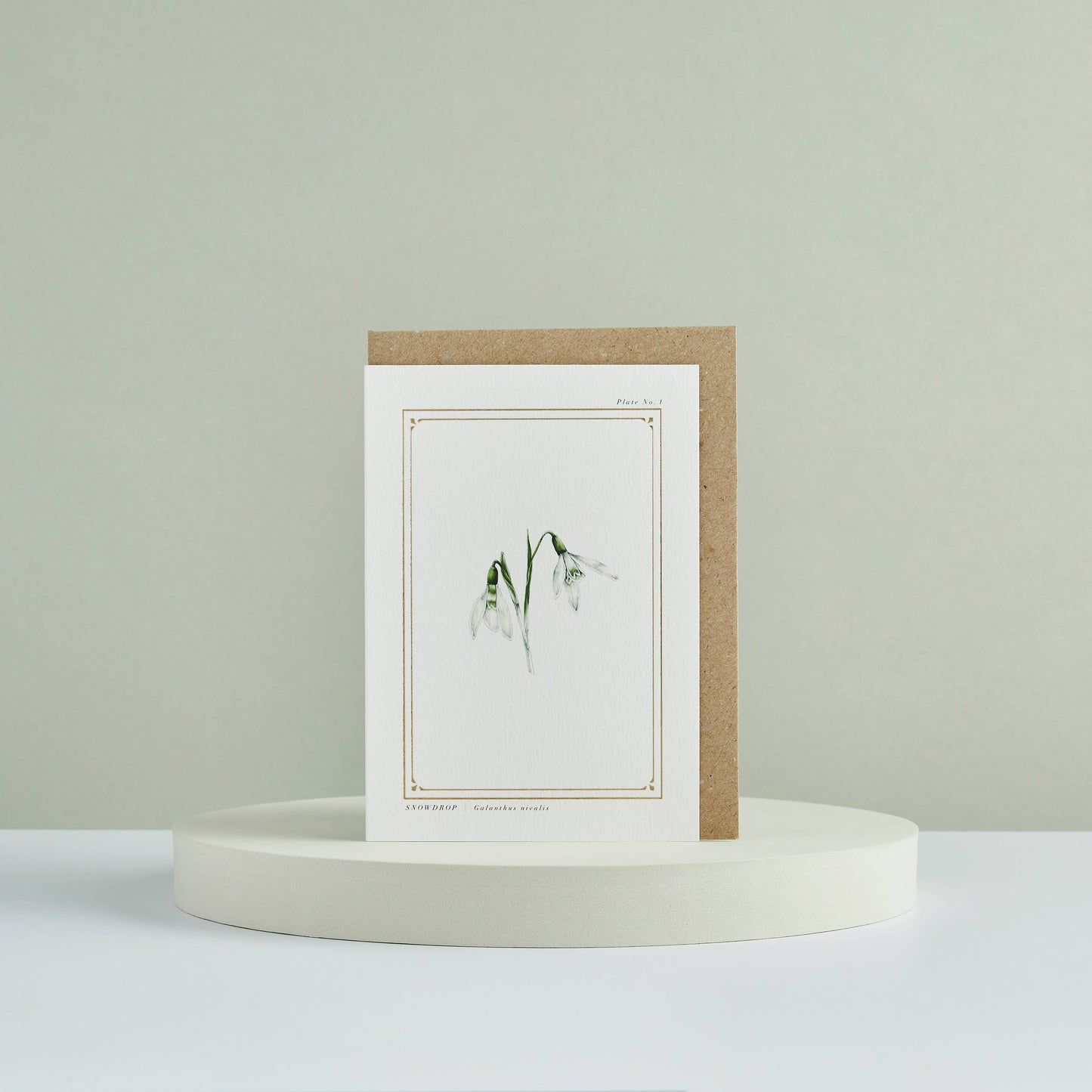 Snowdrop Greeting Card