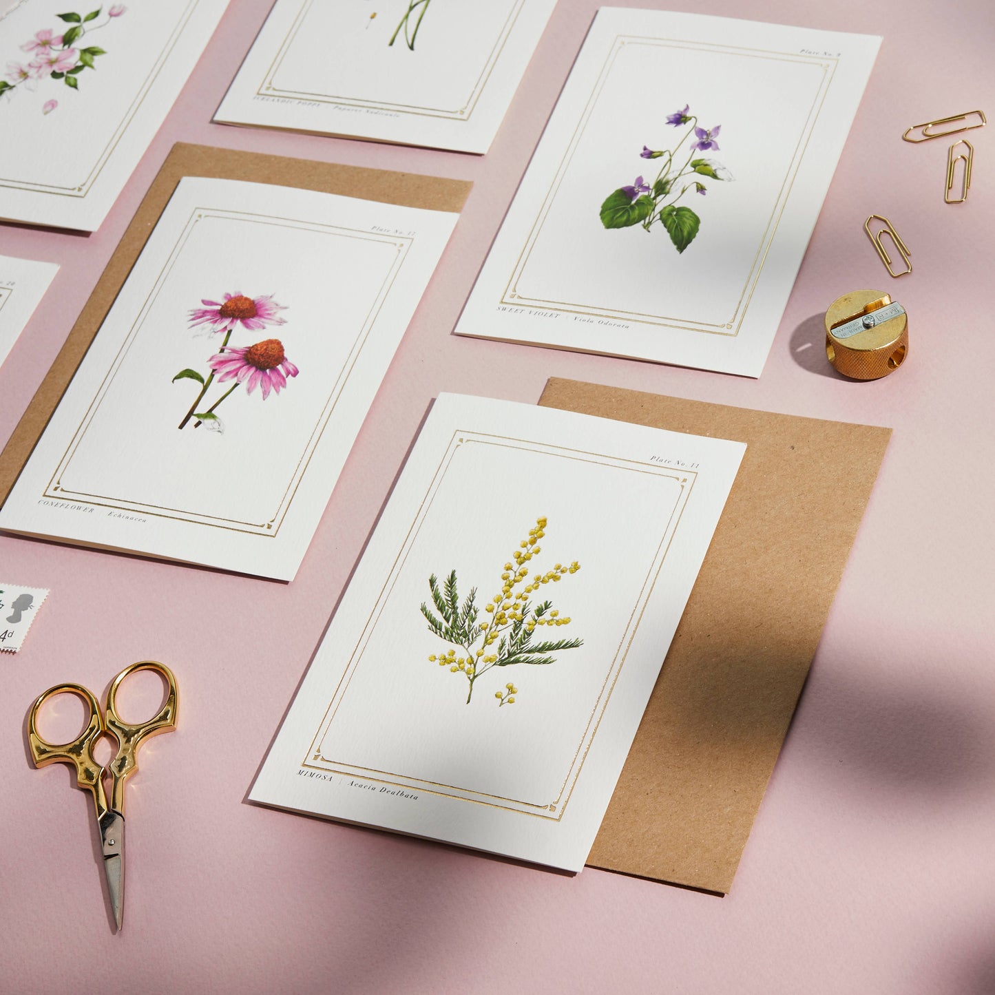 Mimosa Greeting Card