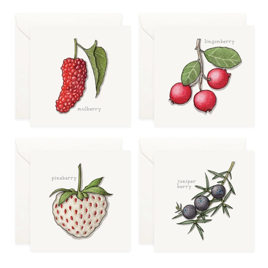 Mini Card Set Fruit & Berries