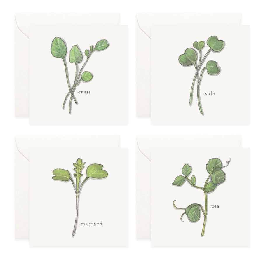 Mini Card Set Micro Greens