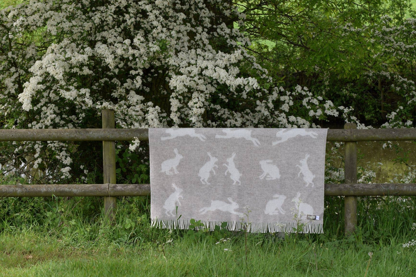 Wild Meadow Hares