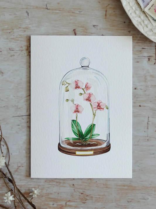 Orchid Floral Display Watercolour Sustainable Greetings Card