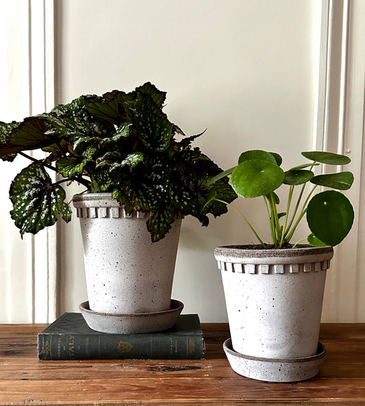 Coventry Terracotta Pot Pale Gray 8"