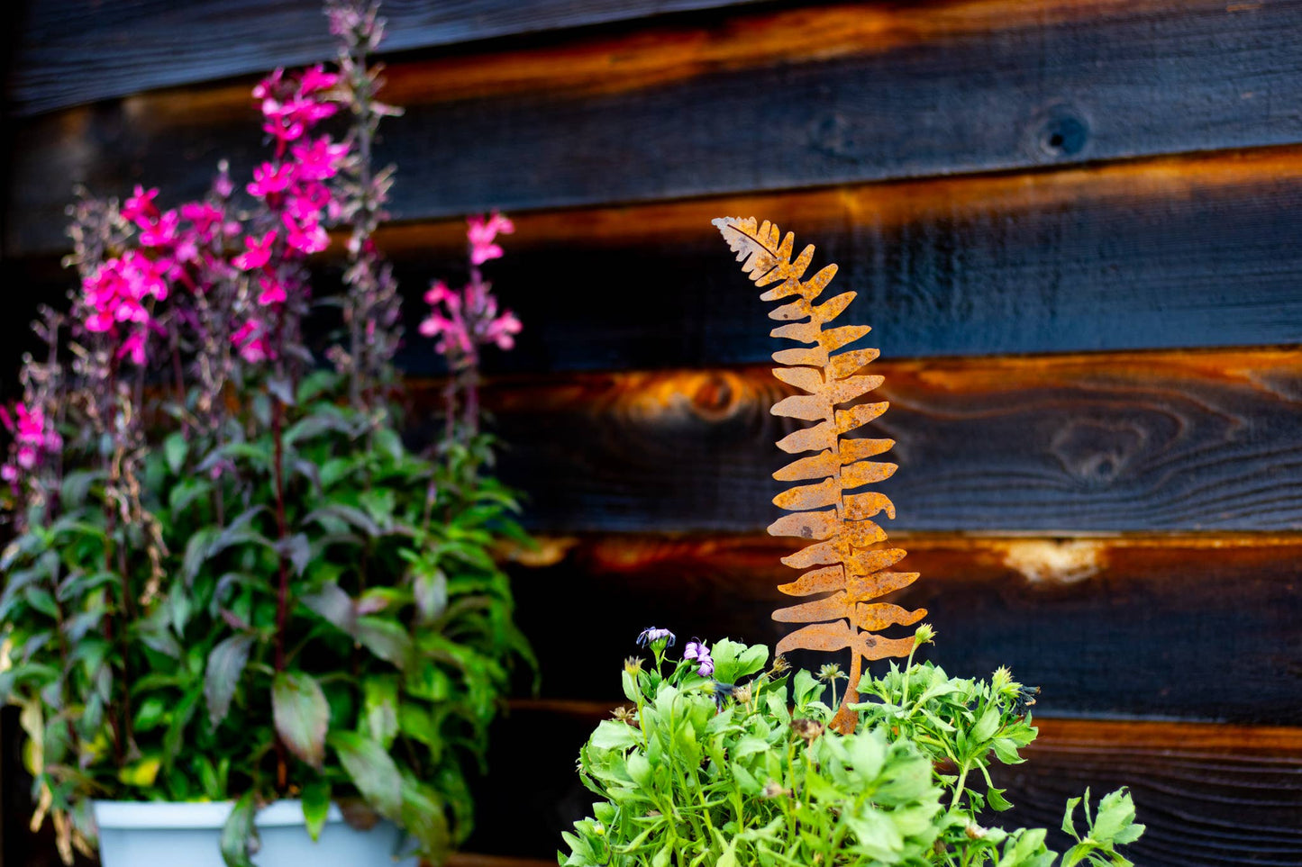Fern Leaf and Frond Picks: Set of 5 / Set of 5