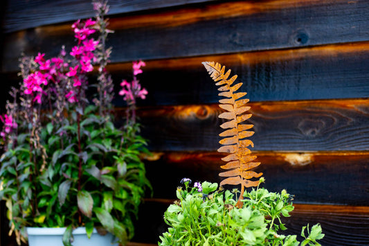 Fern Leaf and Frond Picks: Set of 5 / Set of 5