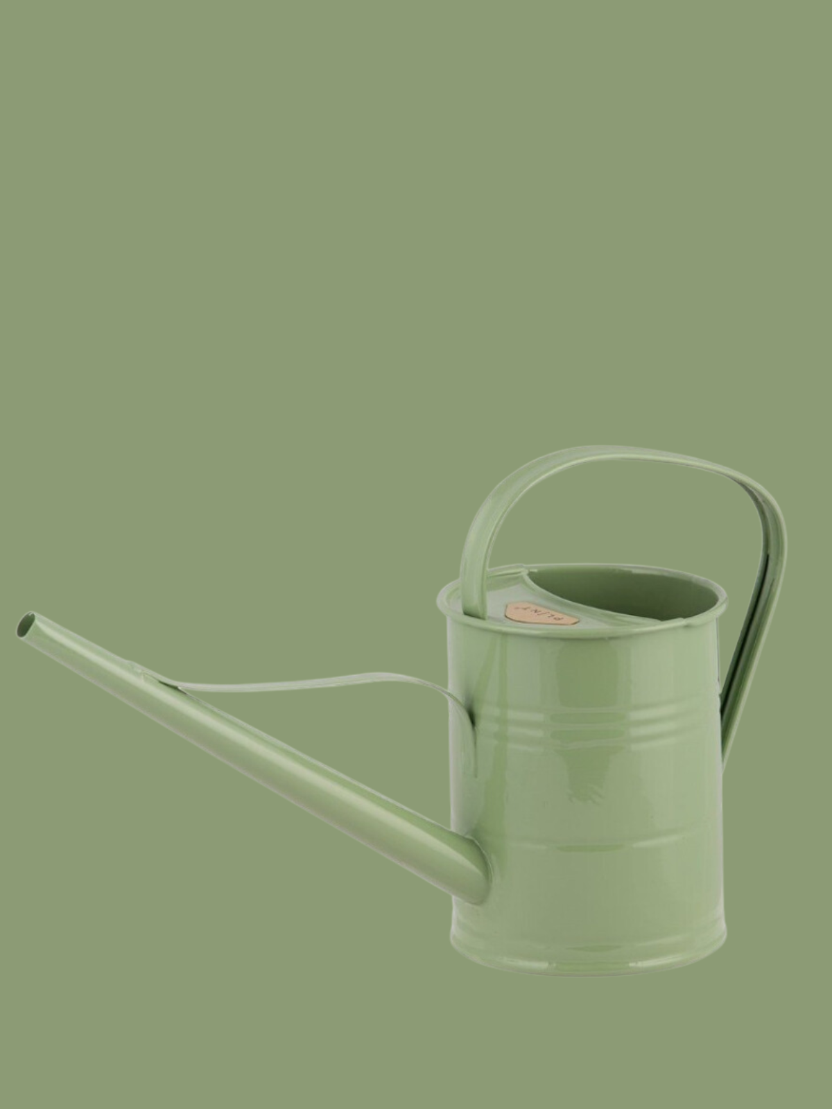 Watering Can 1.5L Mint Green