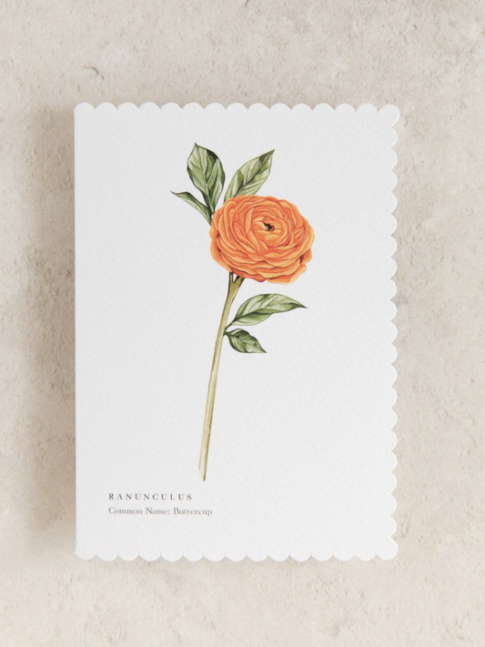 Ranunculus Watercolour Scalloped Sustainable Greeting Card