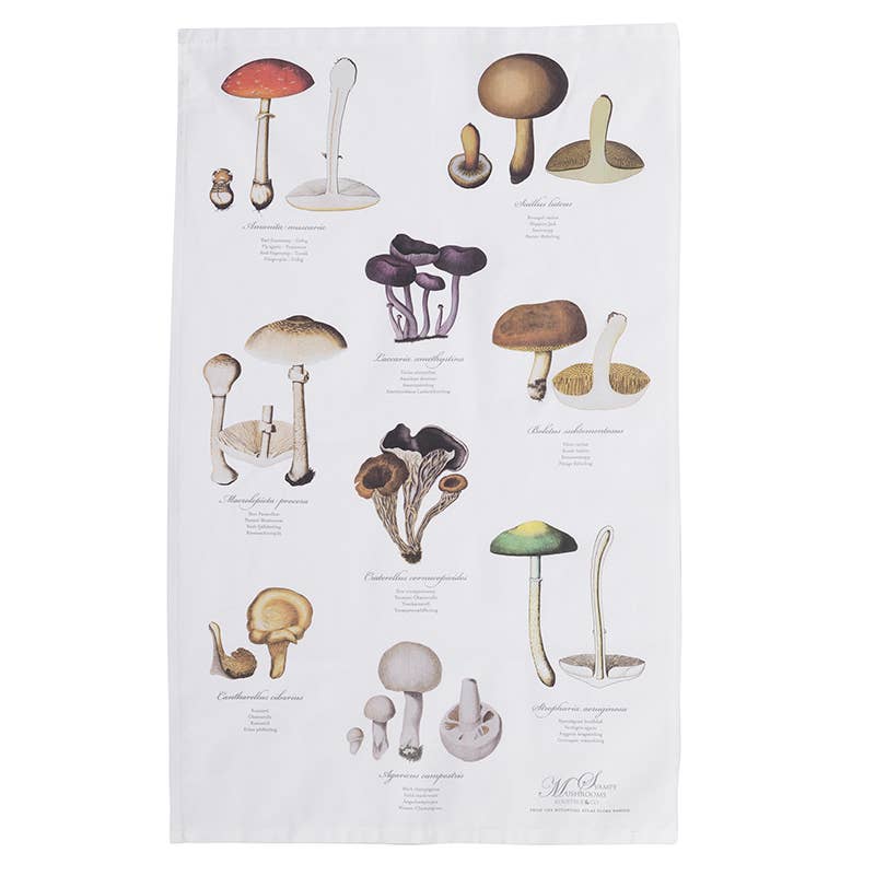 Organic Mushroom Tea Towel