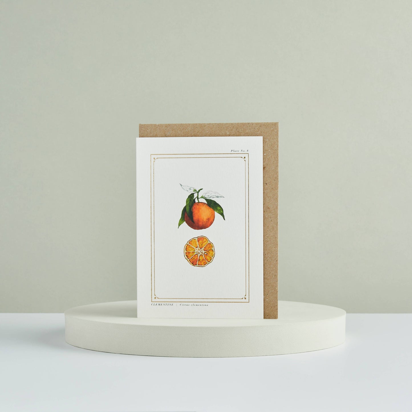 Clementine - 'The Botanist Archive: Festive Edition' - Card