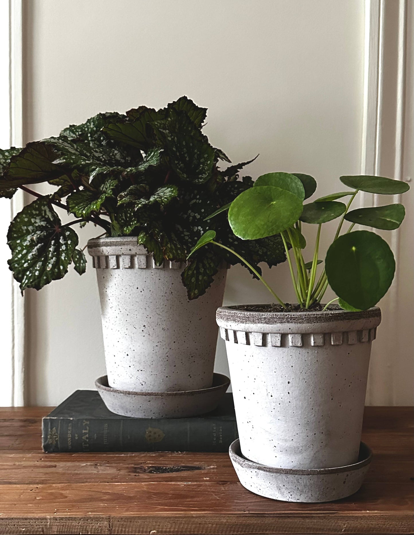 Coventry Terracotta Pot Pale Gray 8"