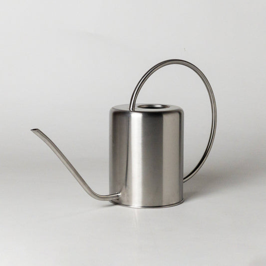 Stainless Steel Watering Can Silver 2L