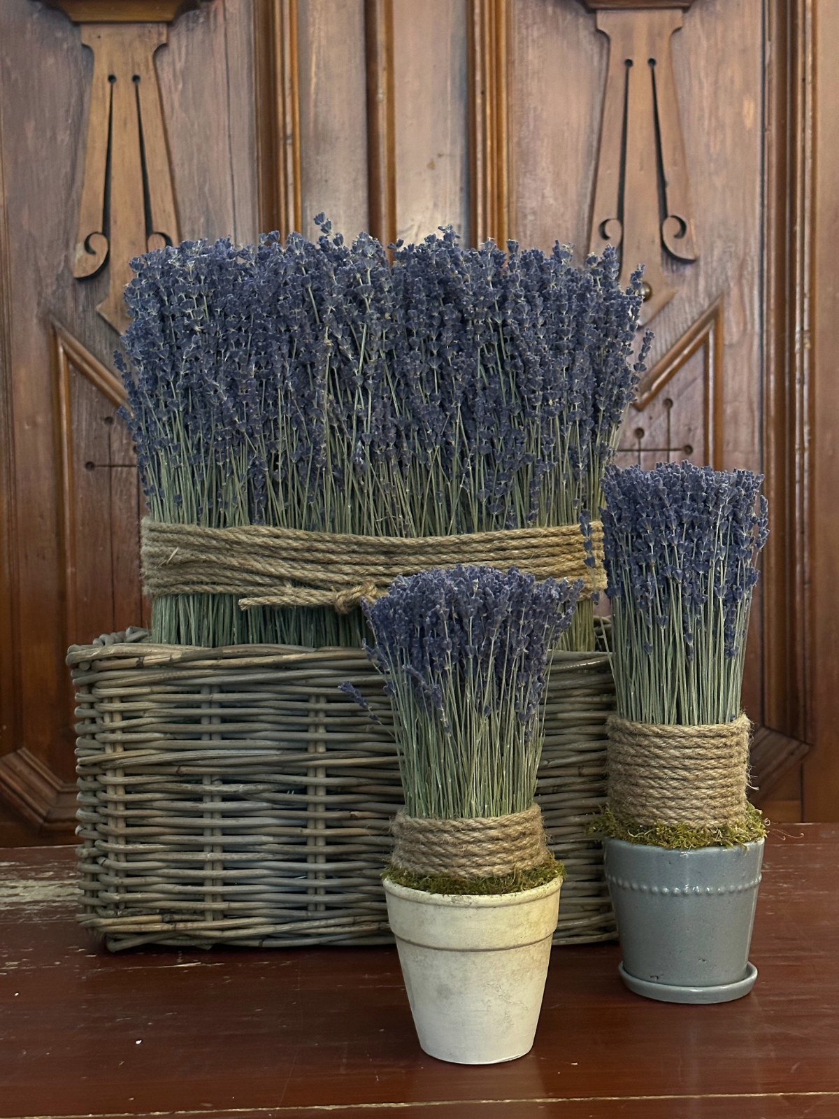 Delphine Dried French Lavender