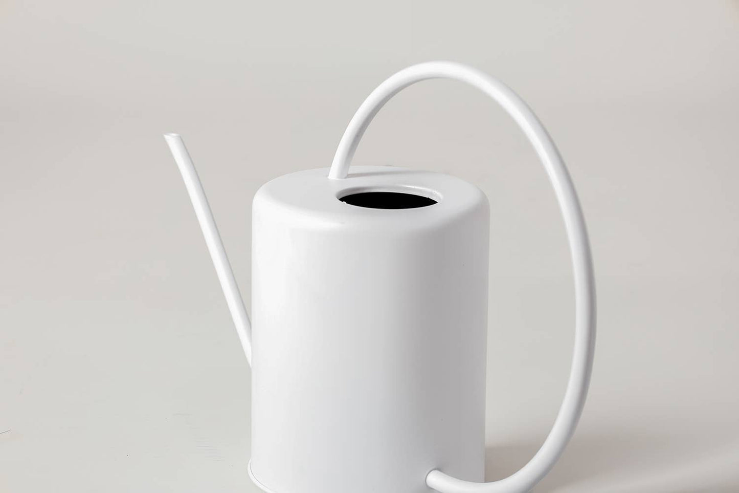 Stainless Steel Watering Can White 2L