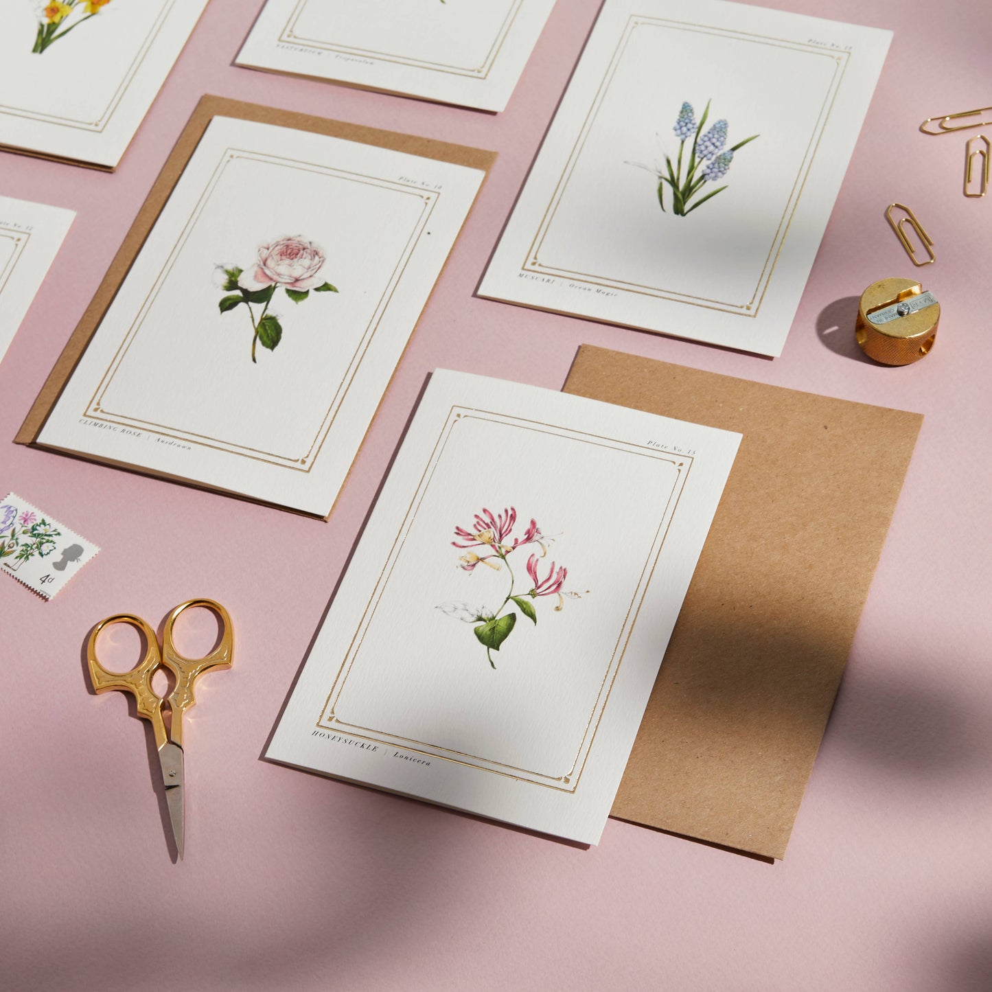 Honeysuckle Greeting Card