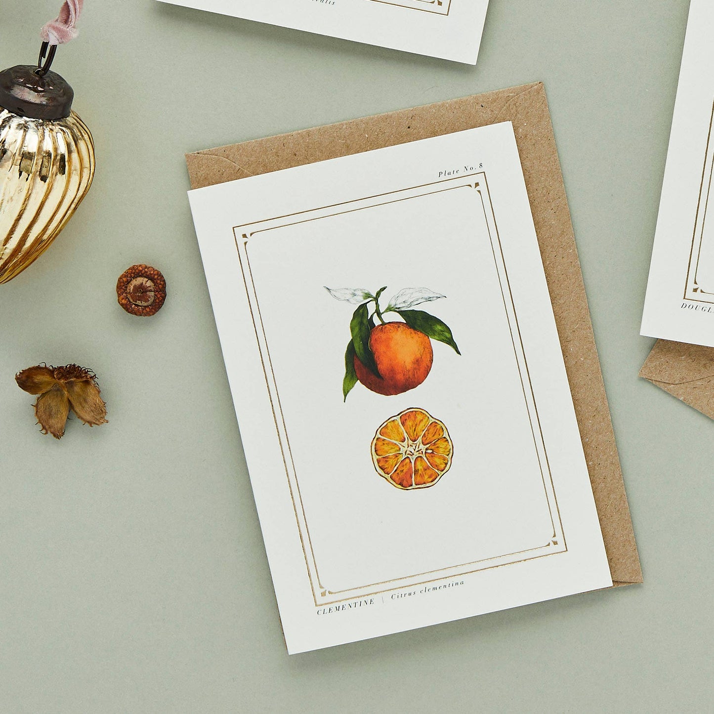 Clementine - 'The Botanist Archive: Festive Edition' - Card