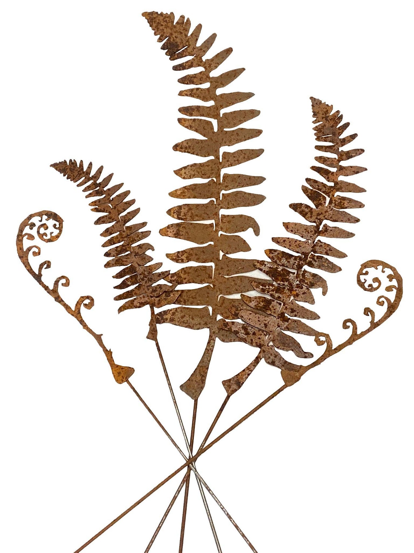 Fern Leaf and Frond Picks: Set of 5 / Set of 5