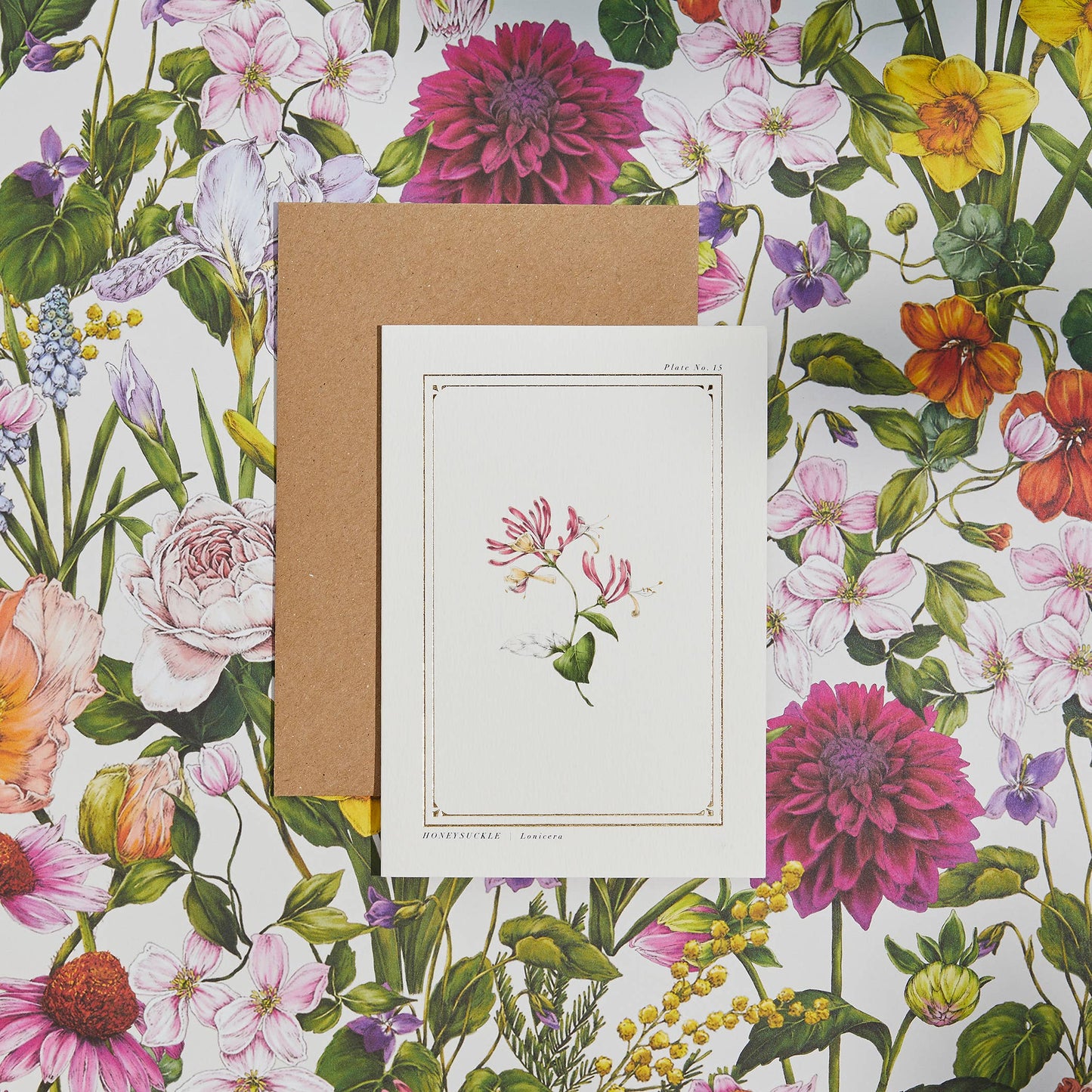 Honeysuckle Greeting Card