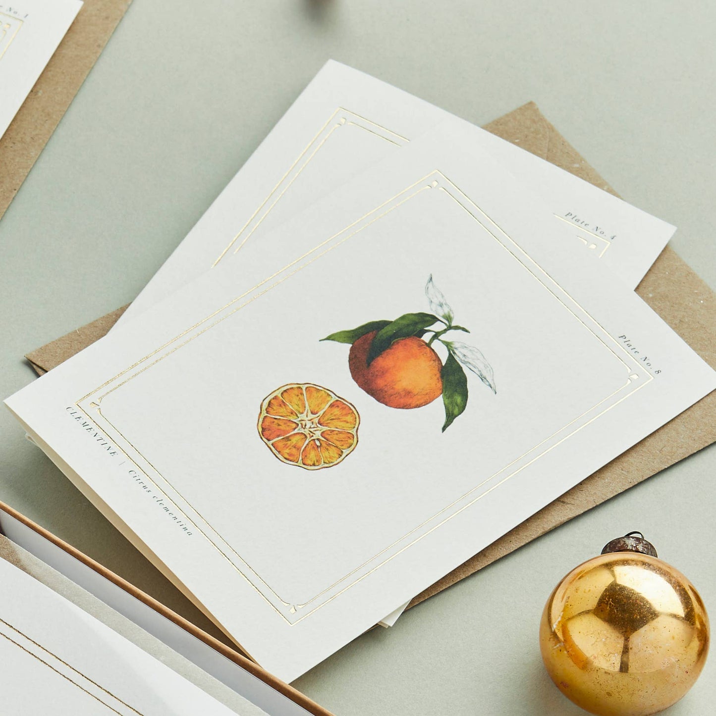 Clementine - 'The Botanist Archive: Festive Edition' - Card