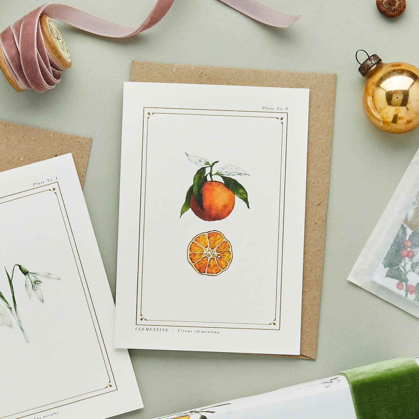 Clementine - 'The Botanist Archive: Festive Edition' - Card