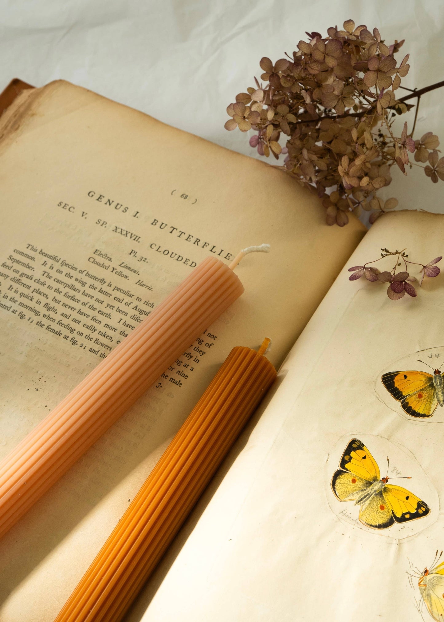 Beeswax & Soy Wax Ribbed Thick Taper: Olive Green