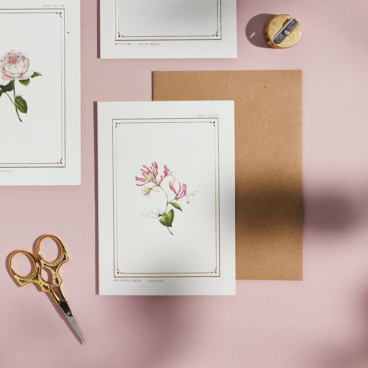 Honeysuckle Greeting Card