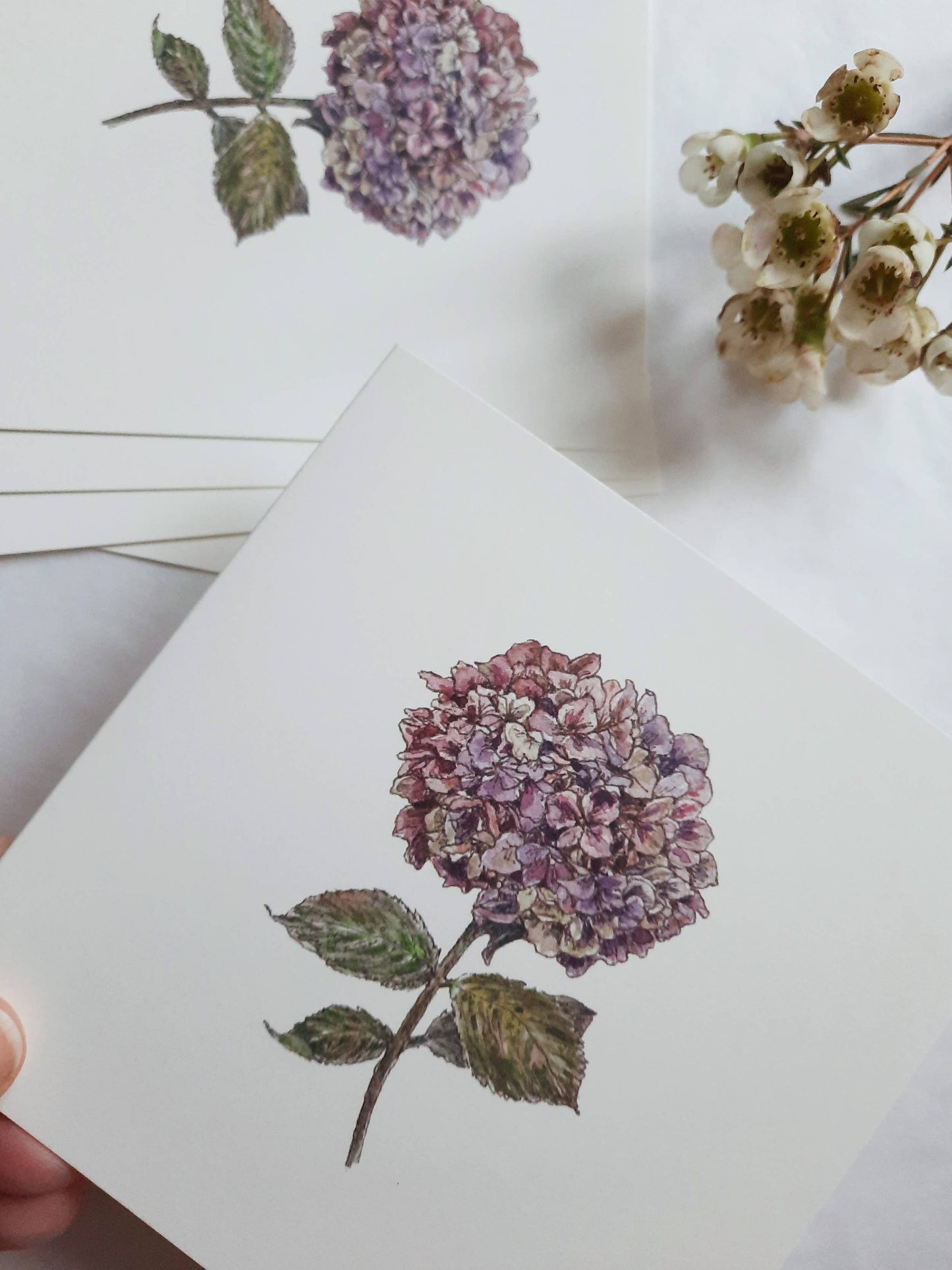 Purple hydrangea Greeting Card