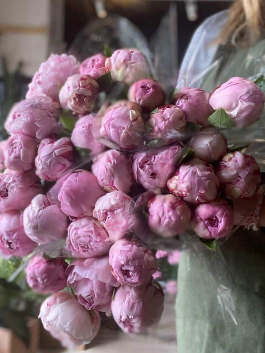 Peonies