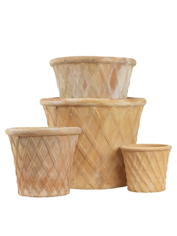 Harlequin Terracotta Pot