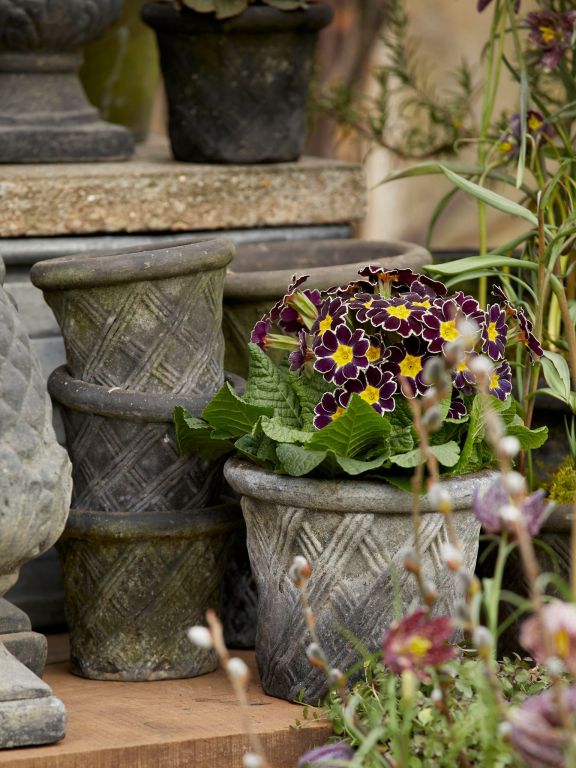 Harlequin Black Patina Pot