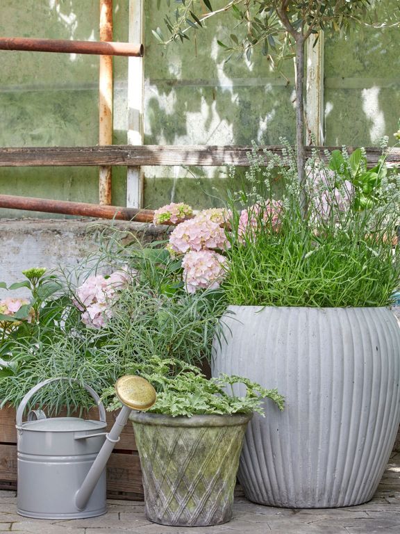 Harlequin Black Patina Pot