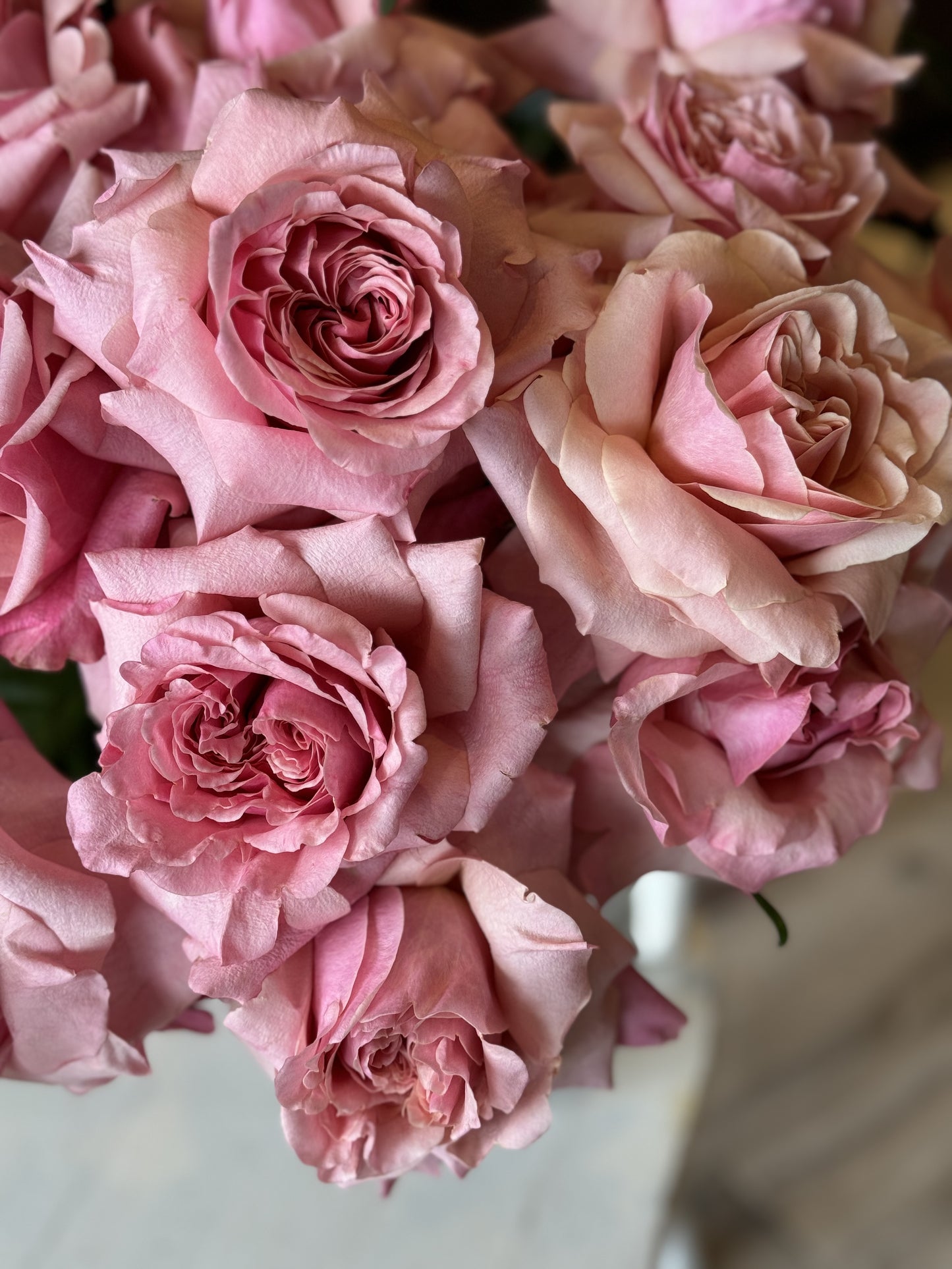 Charming Pink Roses