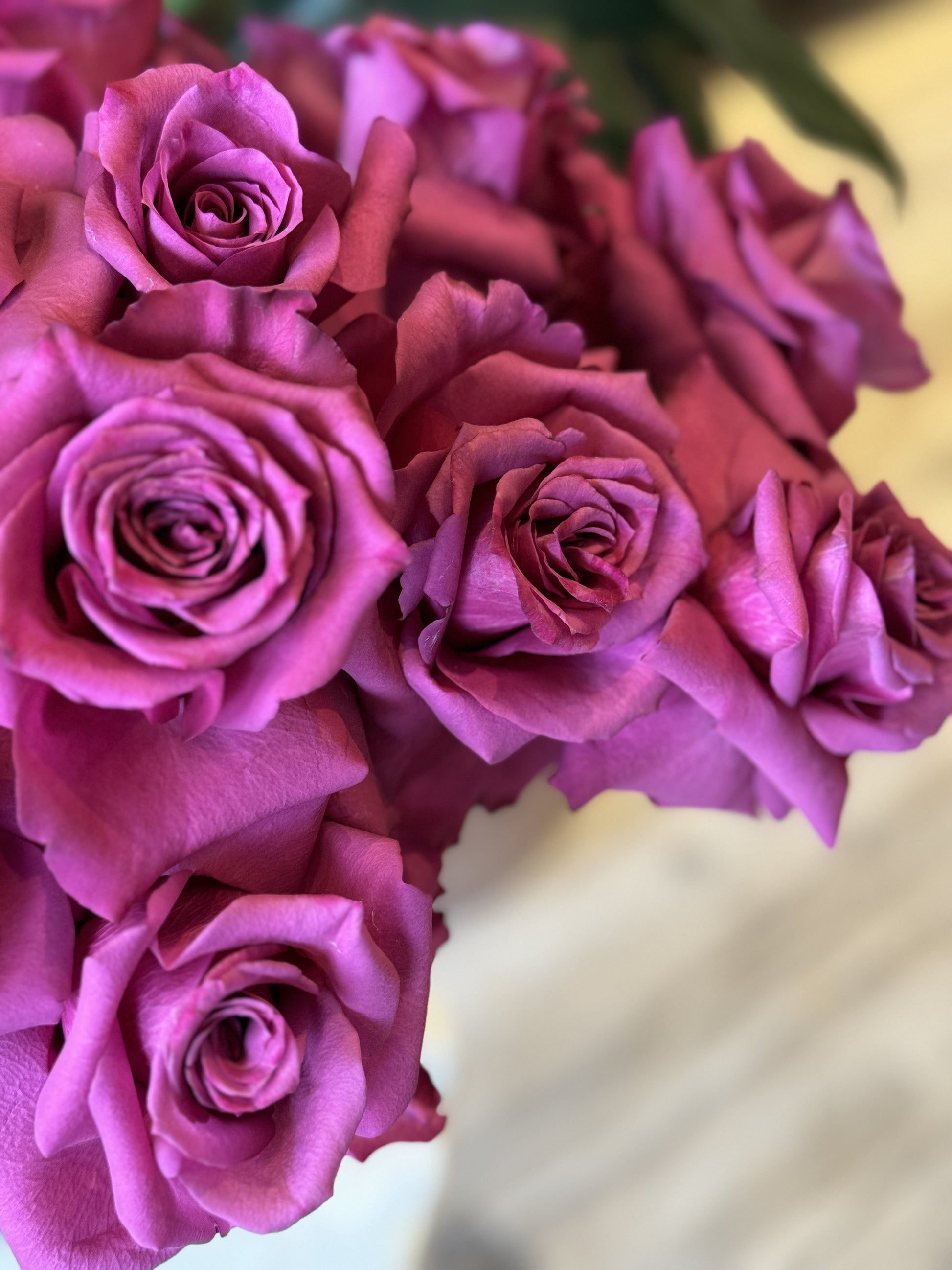 Purble Roses Enchanting Purple Roses – Suzanne Gardner Flowers