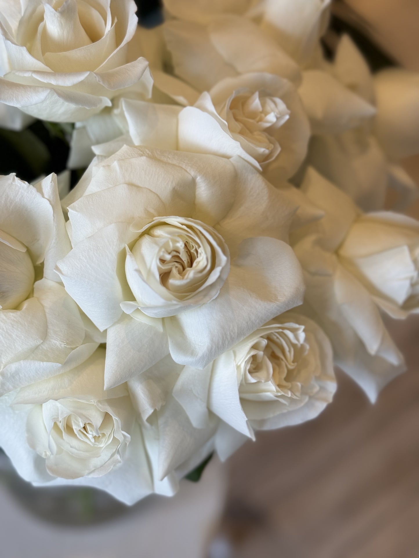 Elegant White Roses