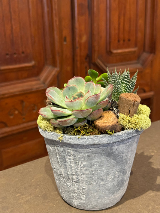 Small Succulent Planter