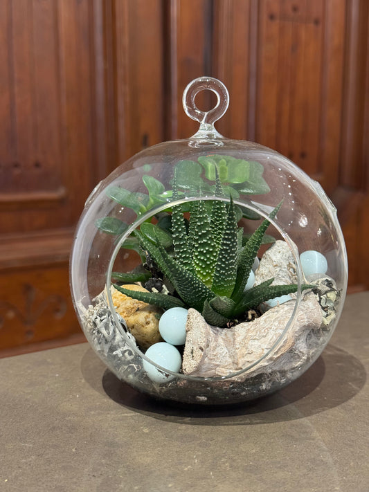 Medium Terrarium