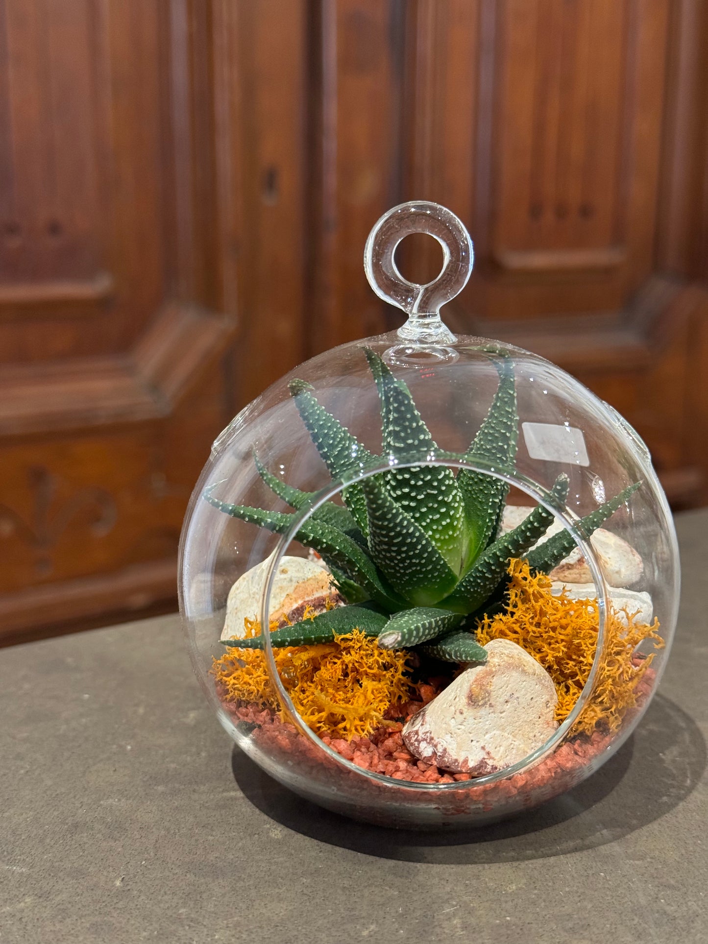 Mini Terrarium