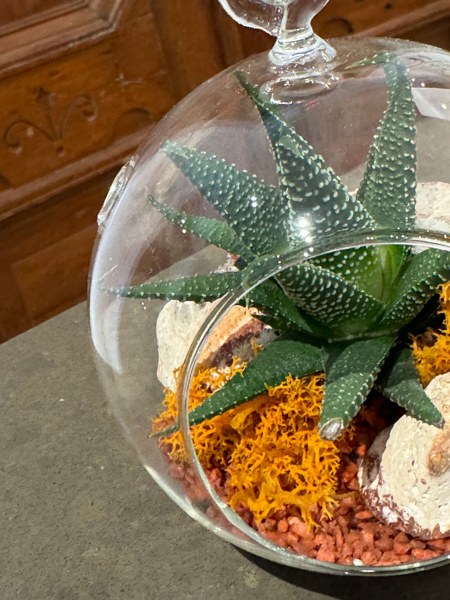 Mini Terrarium