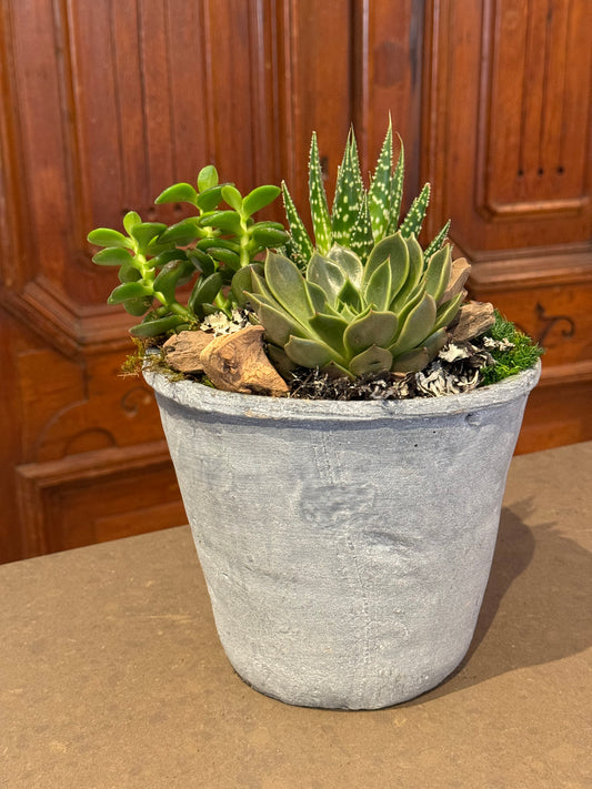 Medium Succulent Planter