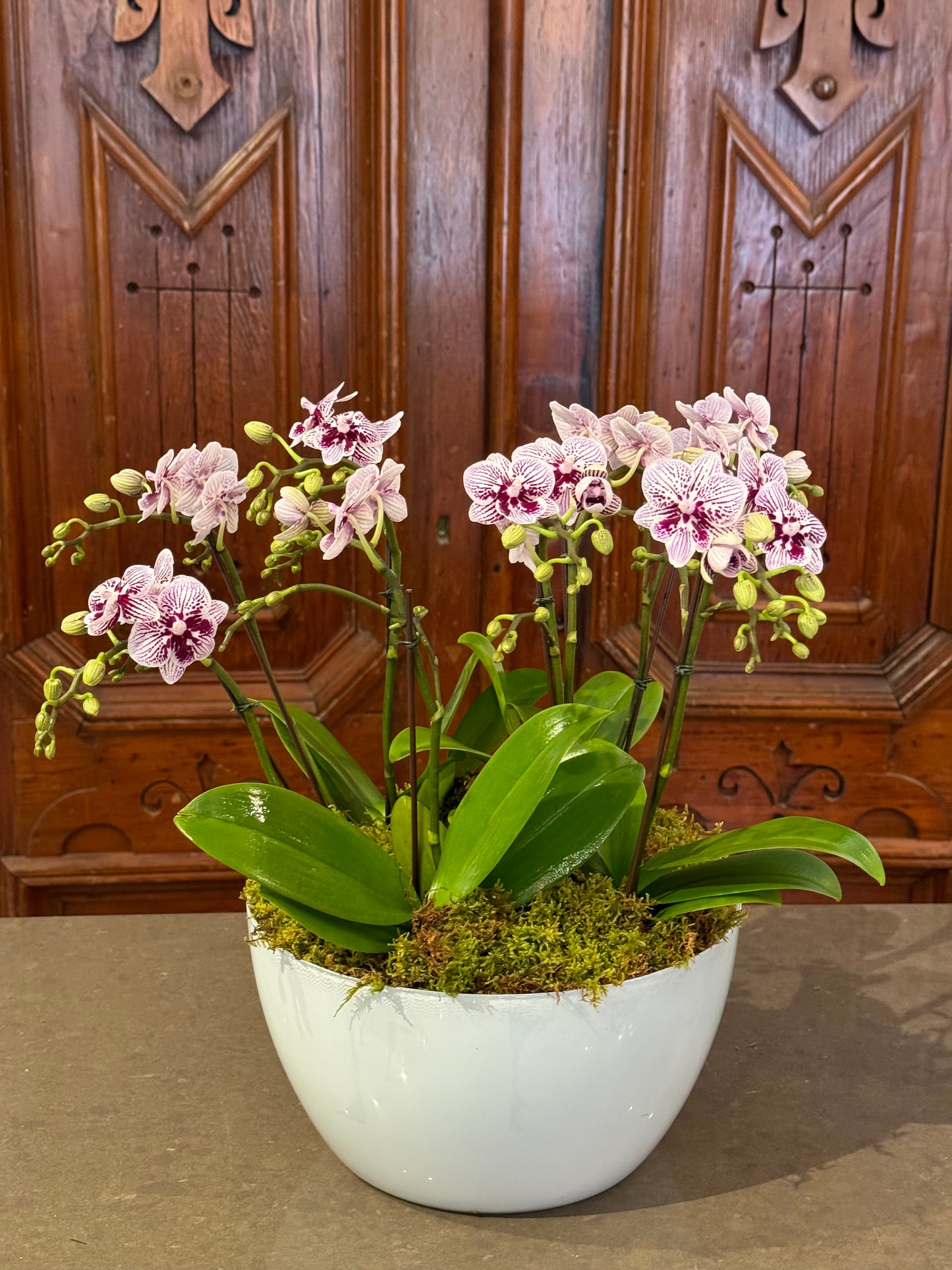 Luxe Orchid Planter