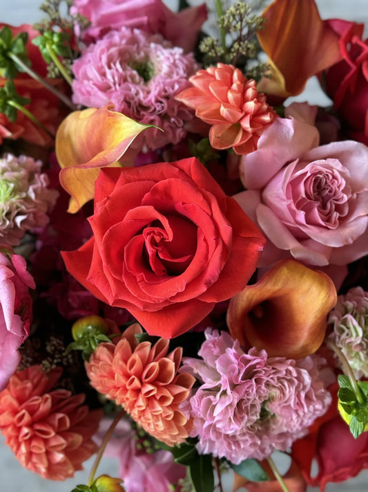 Vibrant Blessings