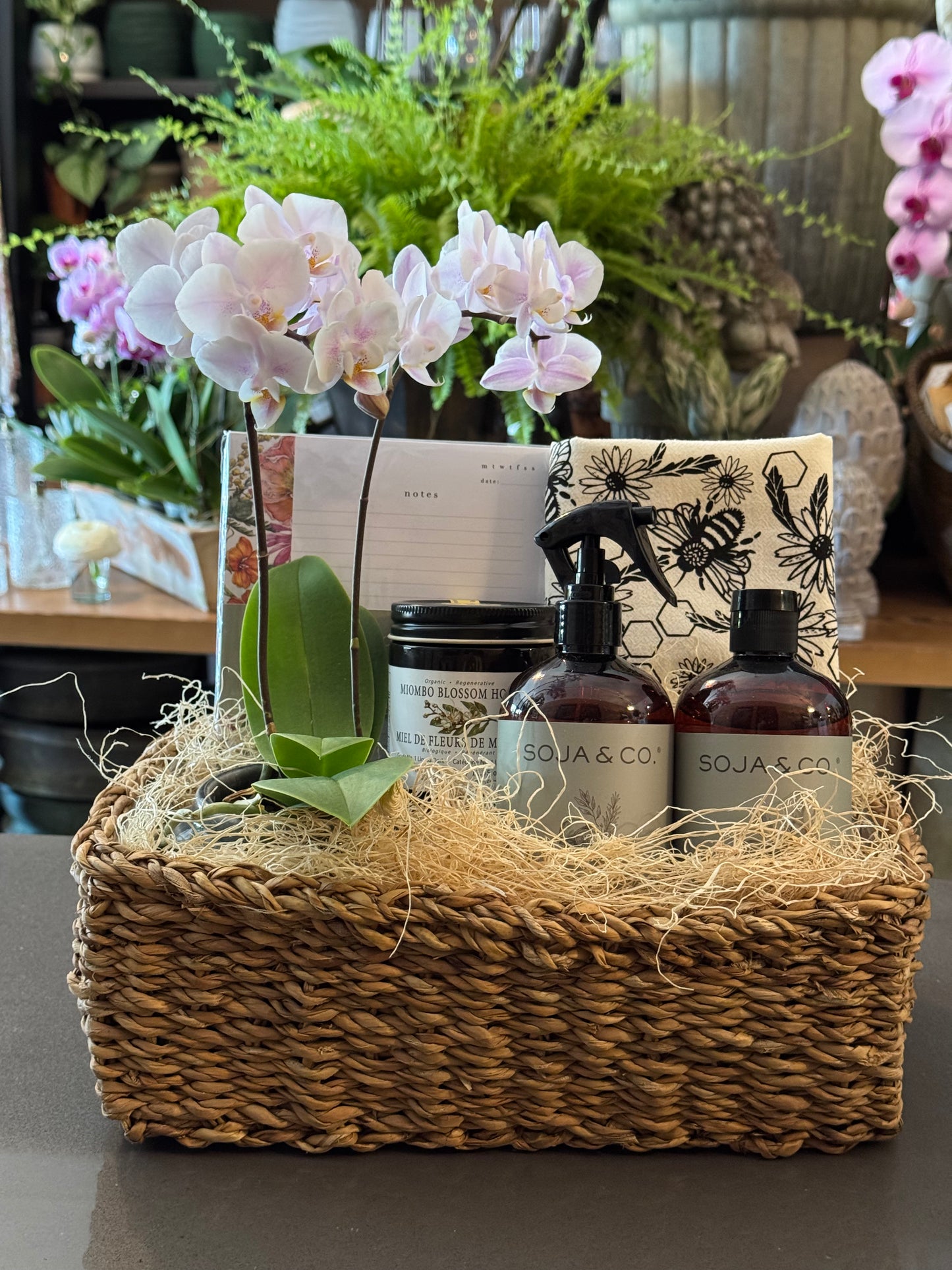 Bloom & Honey Collection