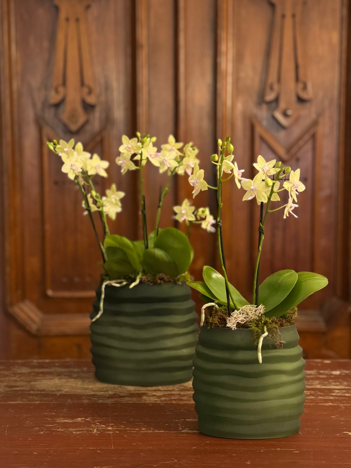 Le Jardin Vert Petite