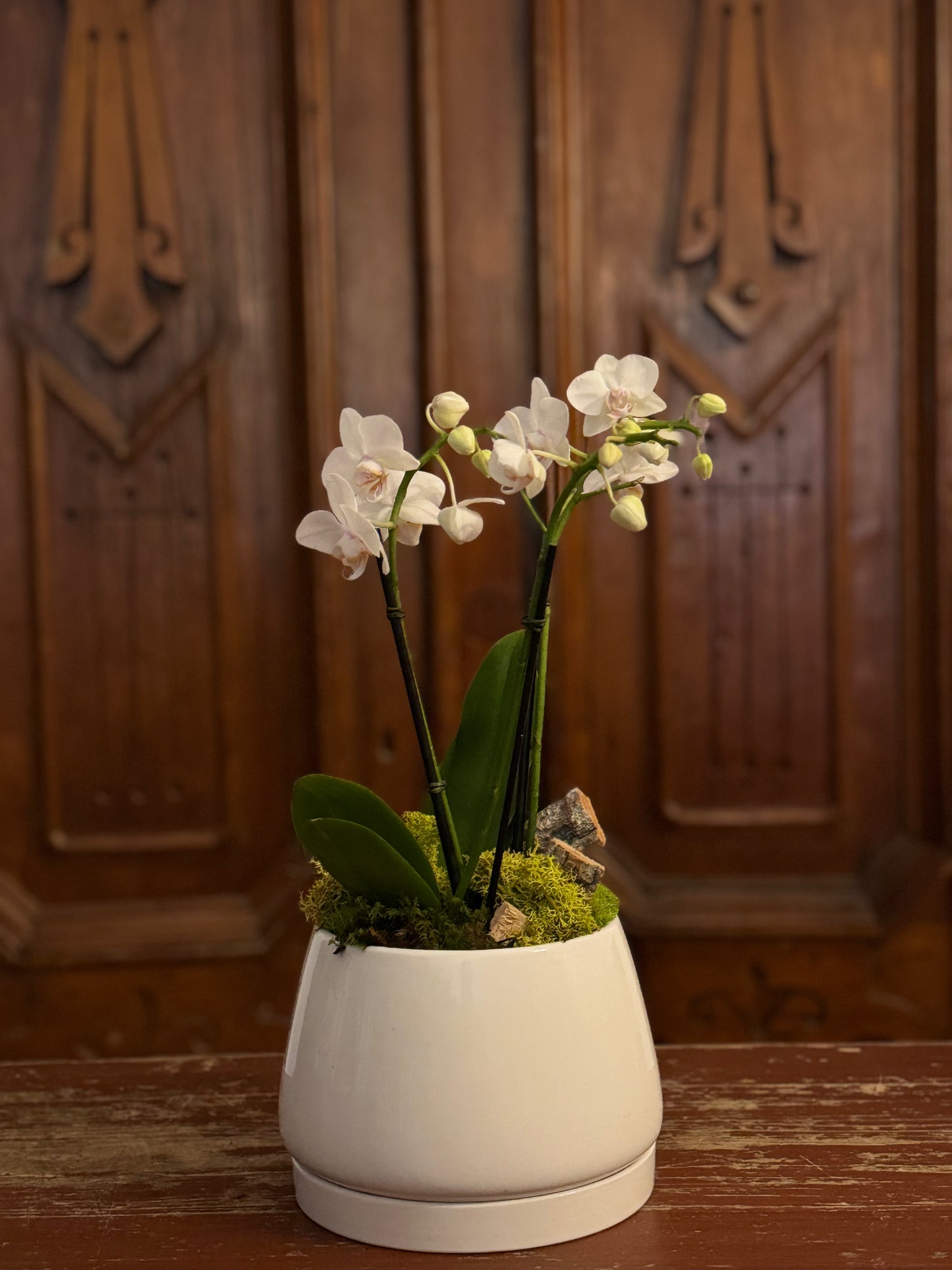 L’Orchidée Blanche