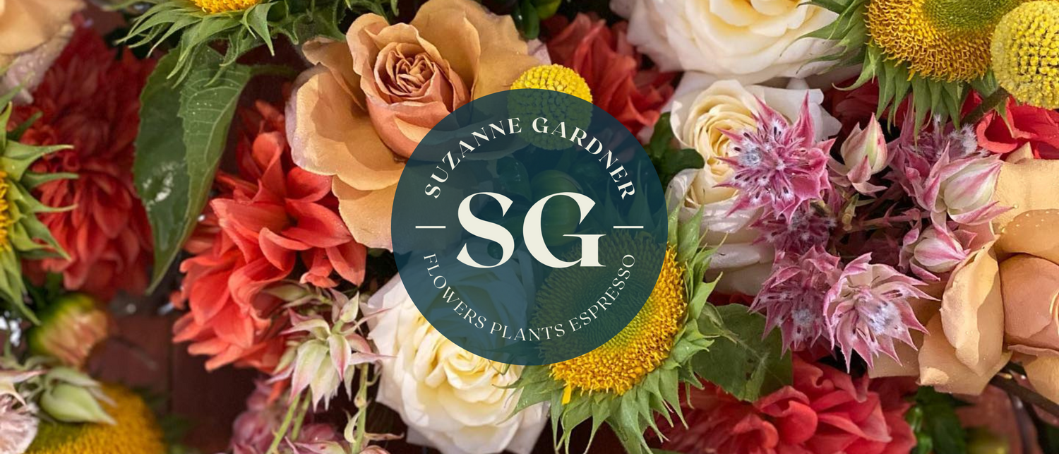 Suzanne Gardner Flowers