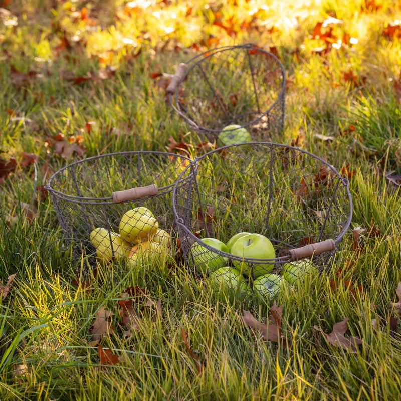 Wire Bushel Basket