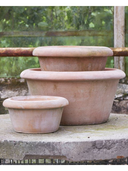 Rosa Terracotta Pot