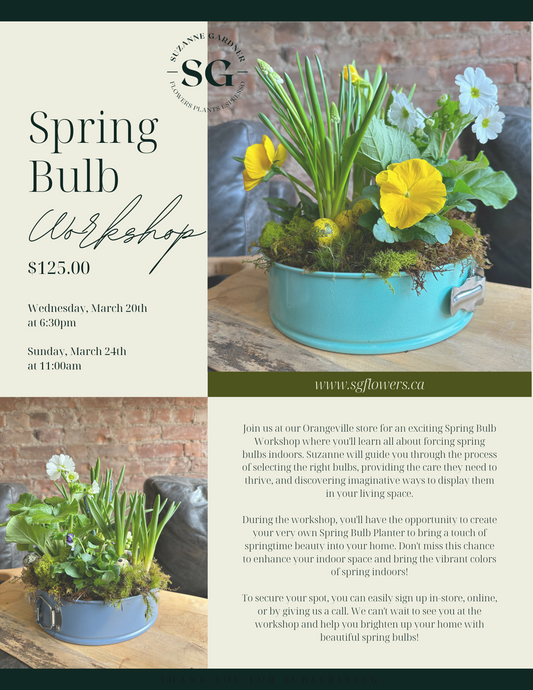 Spring Bulb Workshop